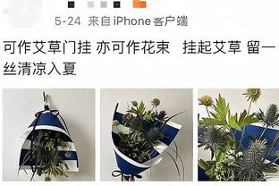 鲍威尔：四巨头需要时间来找到节奏 每个人都得找到自己的角色